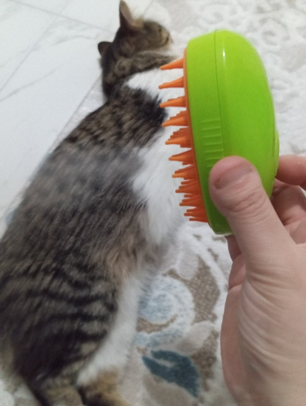 Pet Brush Kedi Köpek Buharlı Tarak