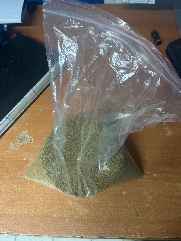 Sera Granugreen 500Gr Açık