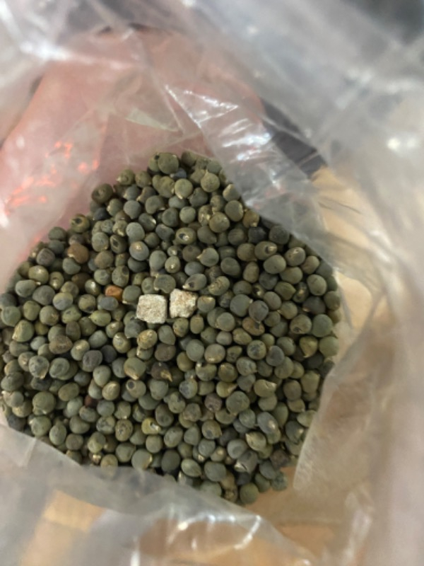 Attargani Bamya Tohumu 250 g