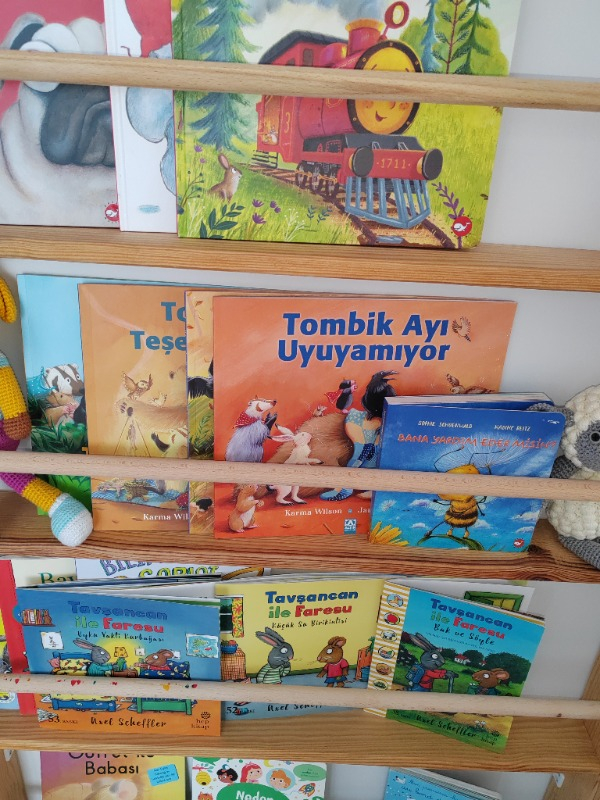 Tombik Ayı Hastalanınca - Jane Chapman