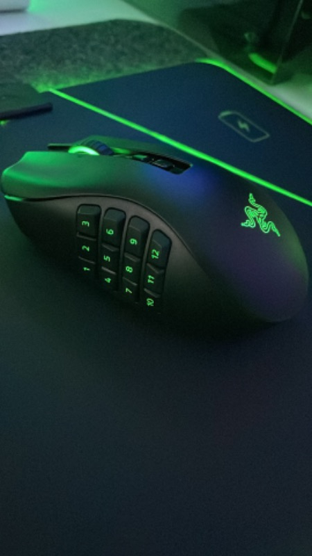 Razer Naga Pro Kablosuz Oyuncu Mouse