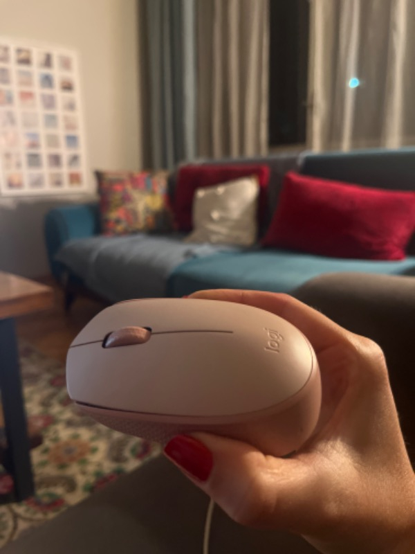 Logitech 910-006865 M171 Kablosuz Pembe Mouse