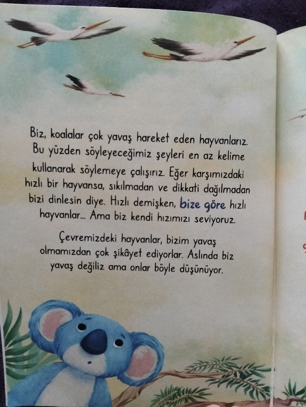 Timaş Çocuk Koala Olmanın Sırrı - İhsan Kartoğlu