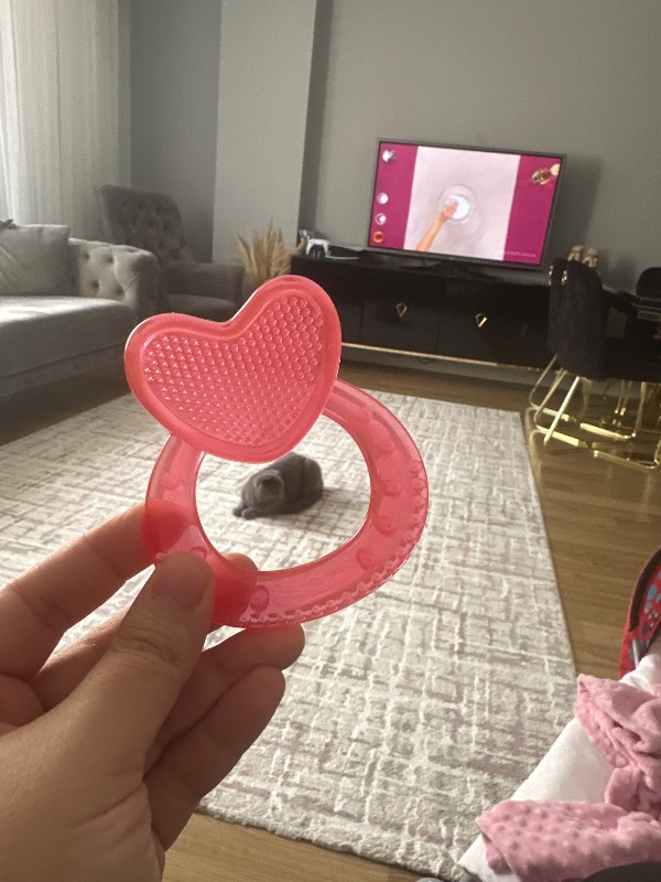 Wee Baby Kalpli Silikon Diş Kaşıyıcı Pembe