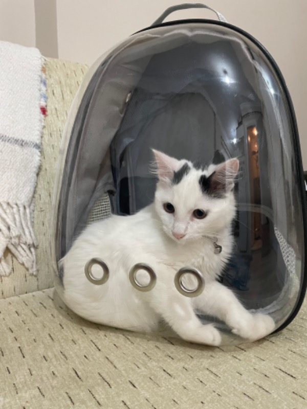 Gezegenpet Astronot Çanta Gri