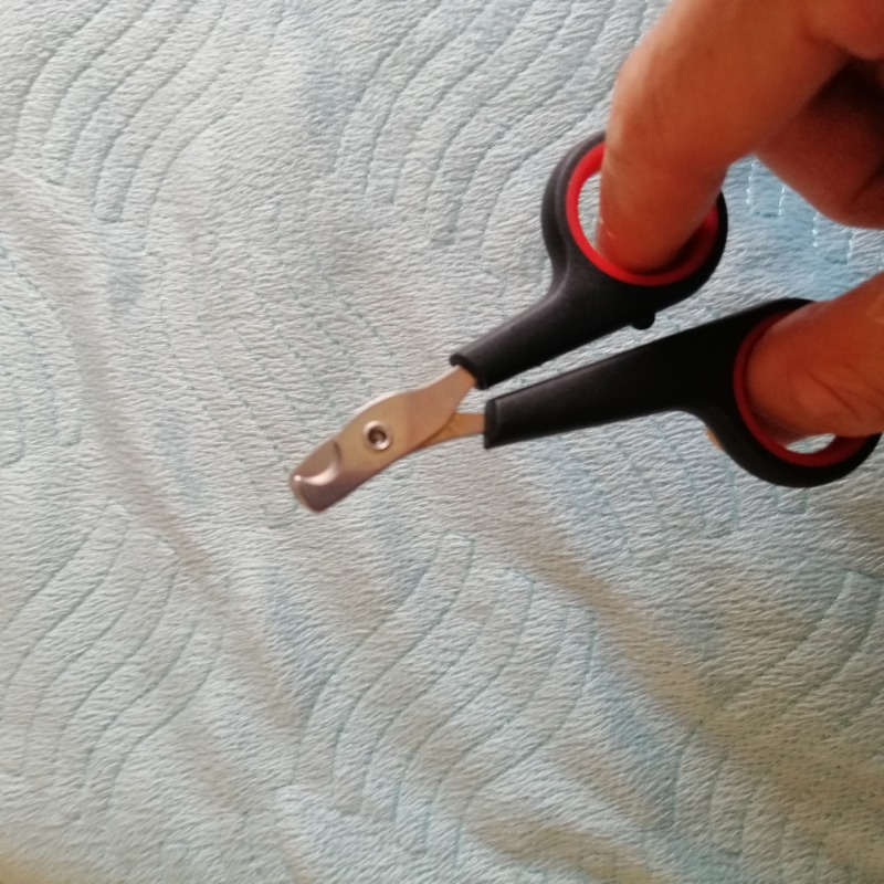 Maxi Life Kedi Tırnak Makası 12cm