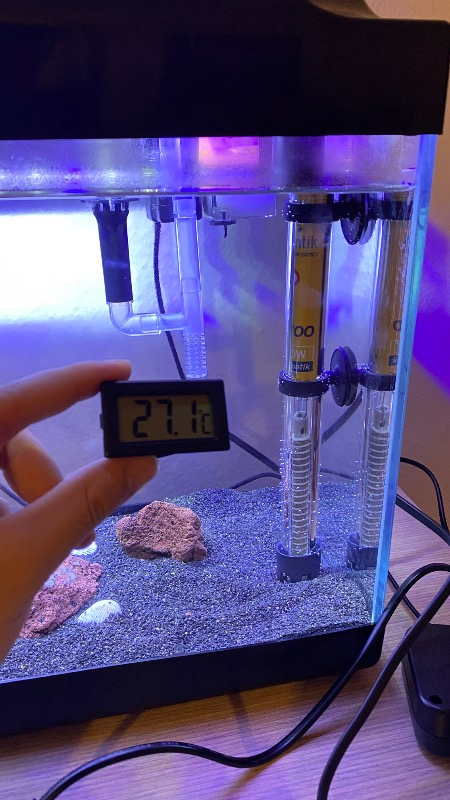 Atlantik Akvaryum Isıtıcı 100 Watt 25 cm