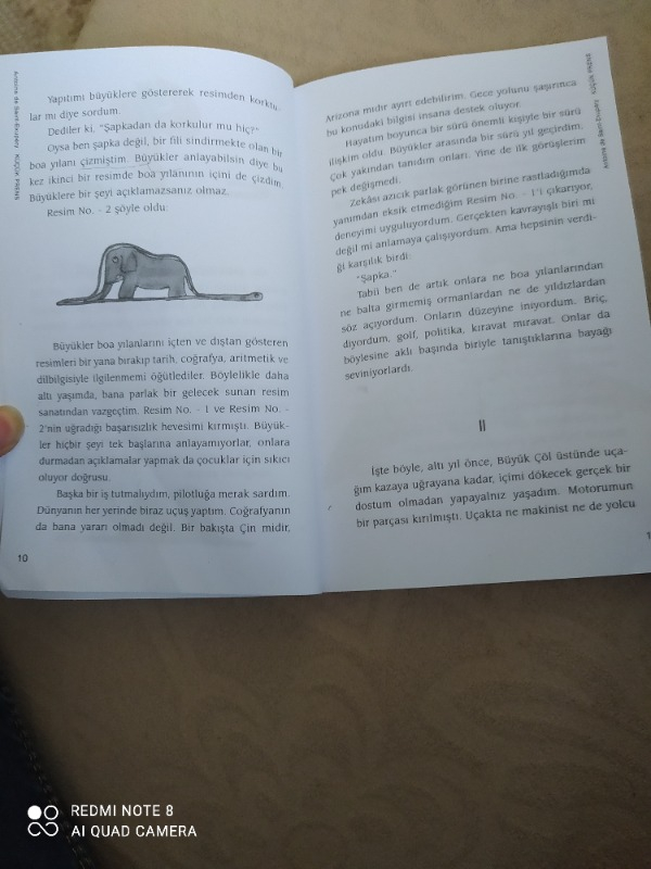 Küçük Prens - Antonie de Saint-Exupery