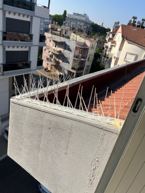 Expel Plastik Kuşkonmaz Bariyer Kuş Engelleyici Tel 3D Model 10'lu