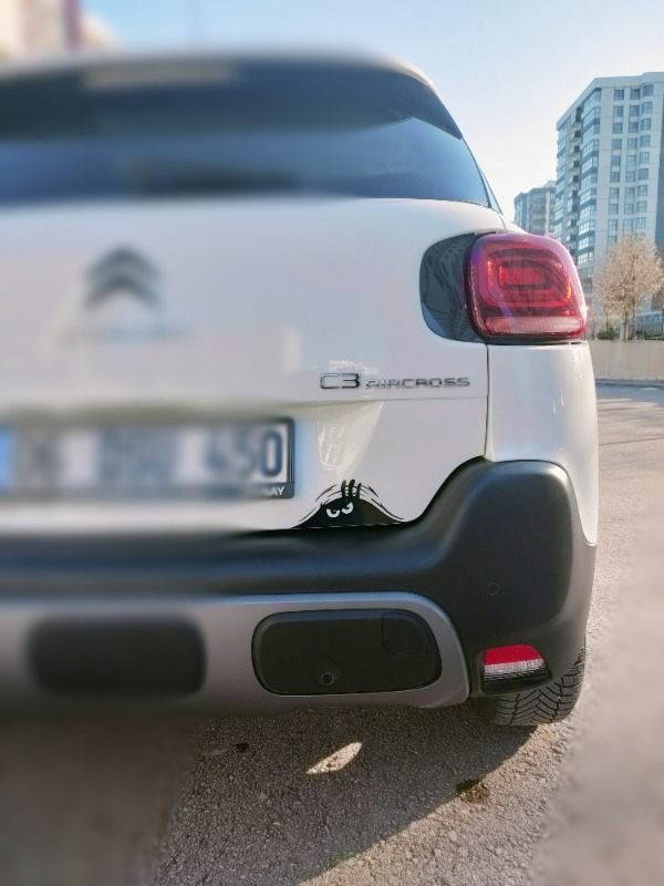 Quart Bagajdan Bakan Adam Oto Sticker, Araba Sticker