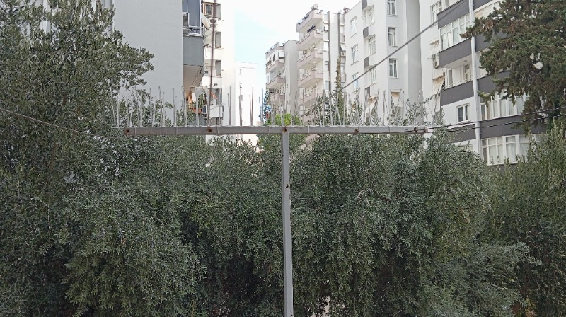 visual-comment-img