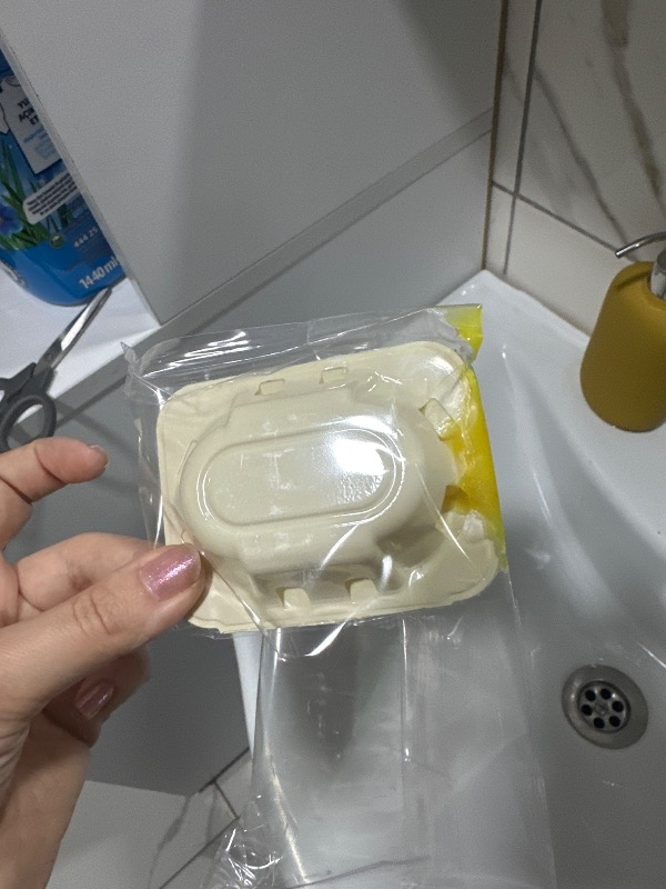 Raid Hamam Böceği Yemi - 12 Adet