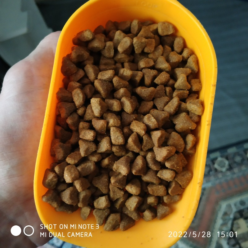 King Plus Cat Kuzulu Yetişkin Kedi Maması 15 Kg