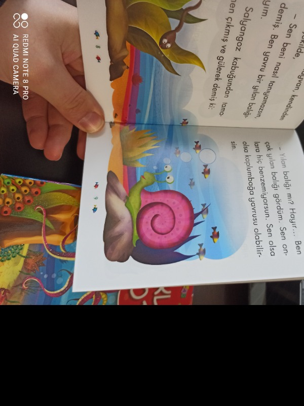Mini Masallar Seti 1 (10 Kitap) - Müjgan Şeyhi