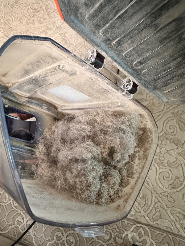 Electrolux EUFC81DB Ultra Flex 650 W Toz Torbasız Elektrikli Süpürge