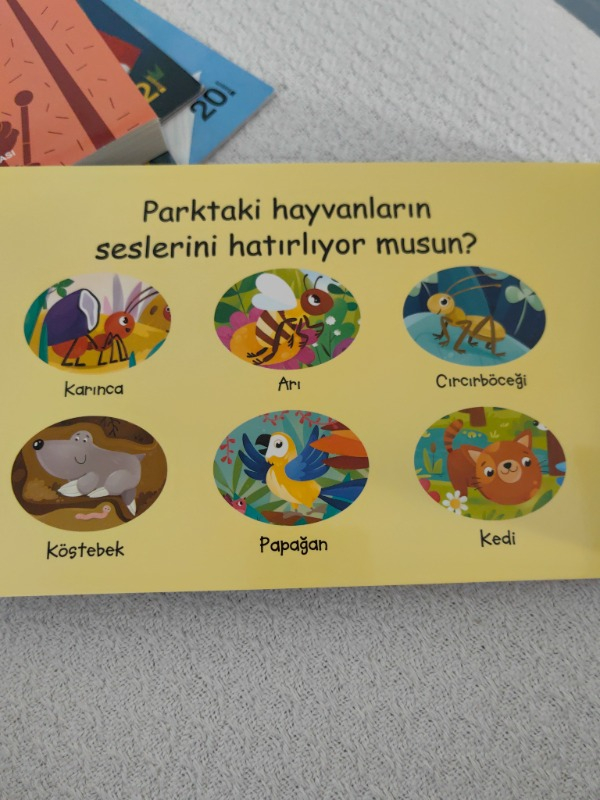 Çalışkan Hayvanlar - Park (Sesli Kitap)