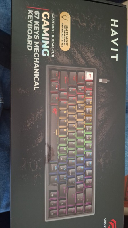 Havit Gamenote KB874L Mekanik Red Switch Gaming %60 Klavye - Red Switch