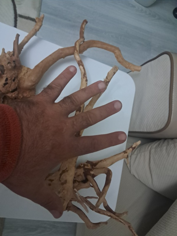Netx Çöl (Yati) Kütüğü Bağ 35-45 cm