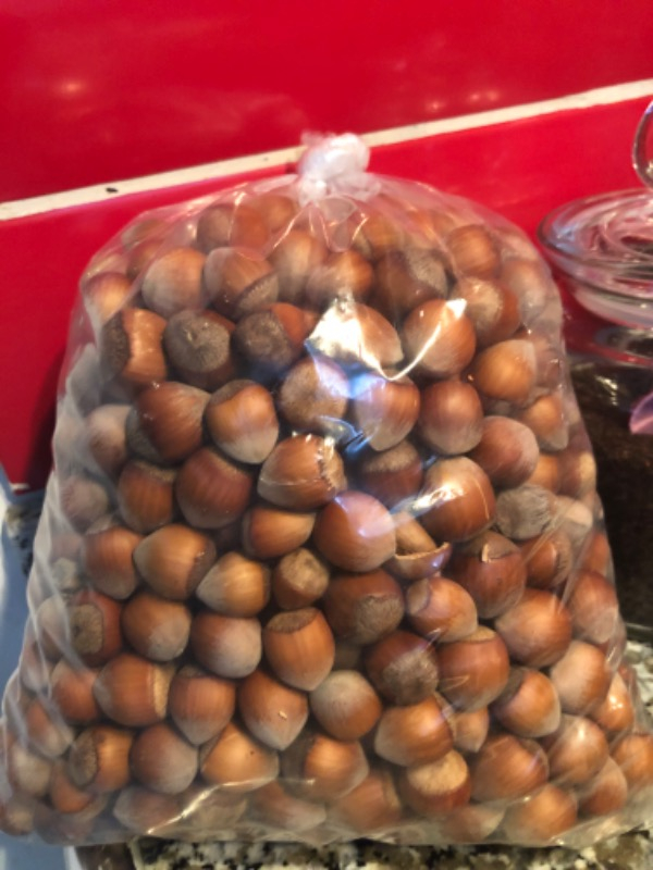 Giresun Kabuklu Fındık Fındık 1 kg