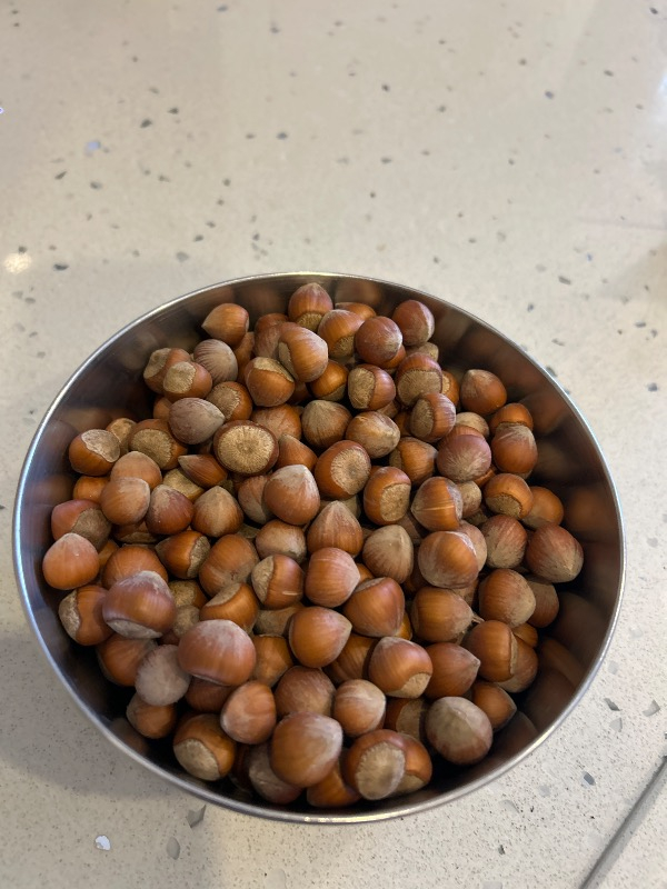 Giresun Kabuklu Fındık Fındık 1 kg
