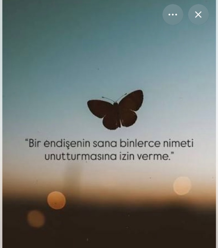 İlk Genç Timaş Mavi Kanatlar