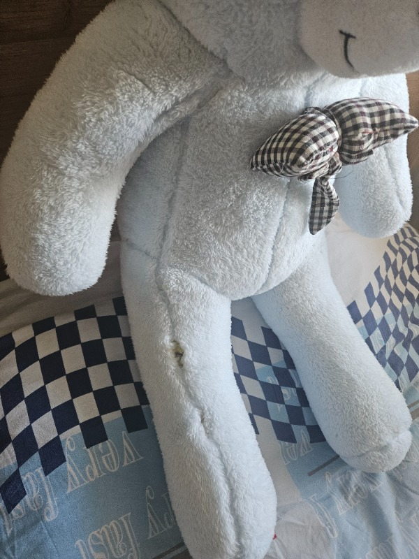 Sole Papyonlu Sevimli Peluş Şaşkın Ayı 80 cm - Sevgiliye Özel Hediye