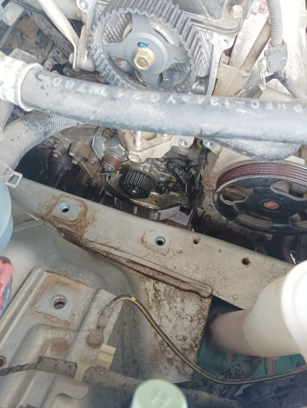 Selpak® Kağıt Havlu 12'li