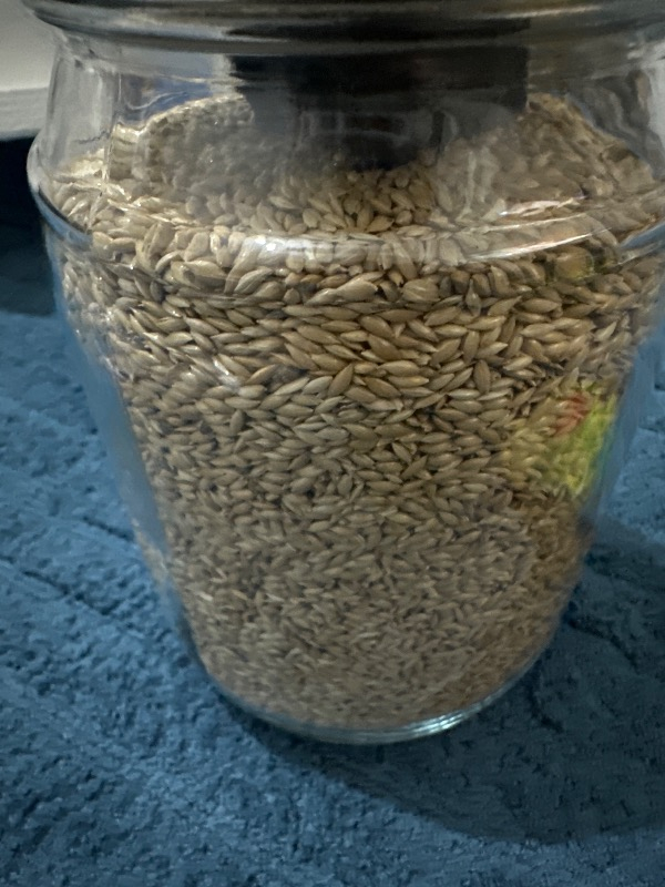 Vivid Aspur 1 kg