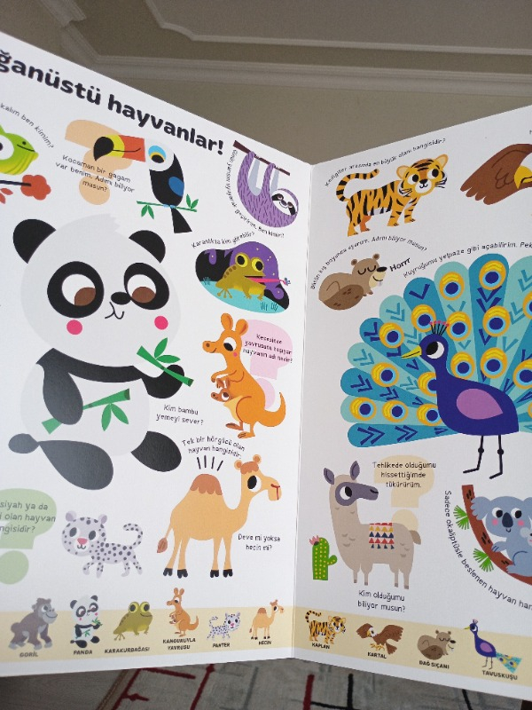 Büyük Sorular Kitabım – Hayvanlar