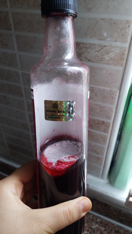 Zühre Ana Karadut Özü 670 gr