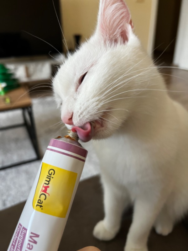 GimCat Malt Soft-Extra Pasta 100 Gr
