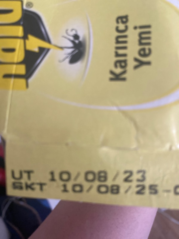 Raid Karınca Yemi 3 g