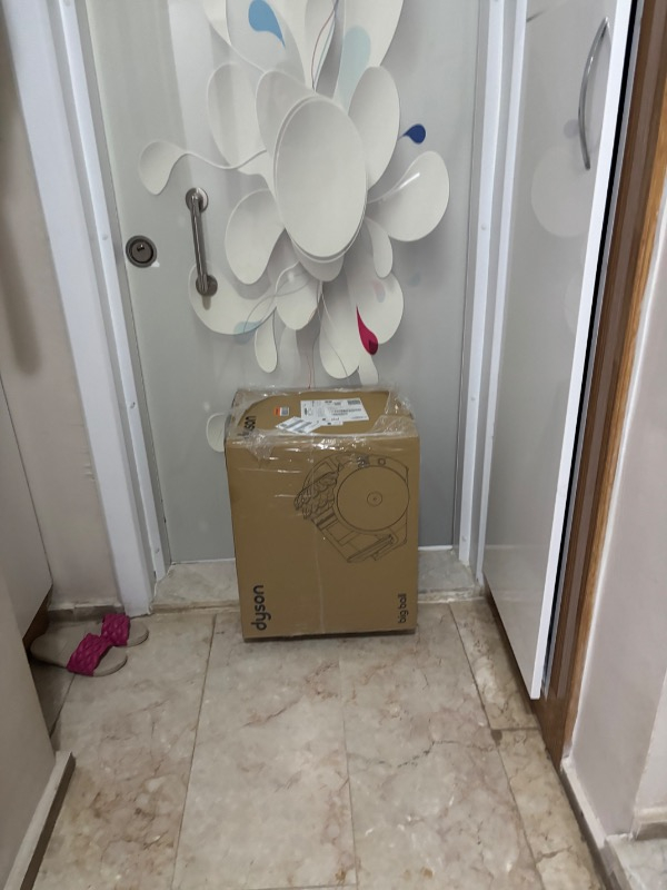 Dyson Big Ball Absolute 2