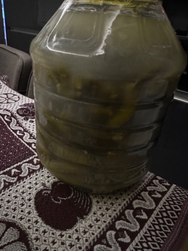 Ulus Turşu Çubuk Salatalık 0 Numara 5 kg