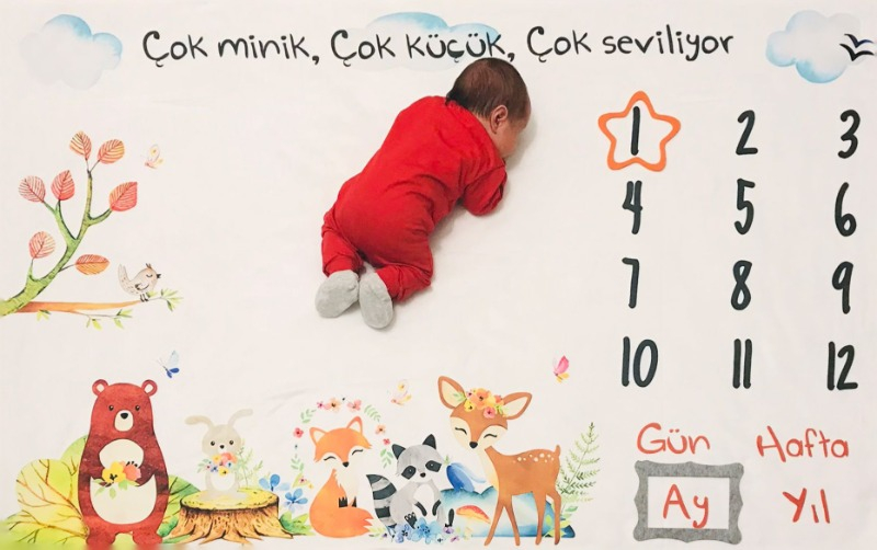 visual-comment-img