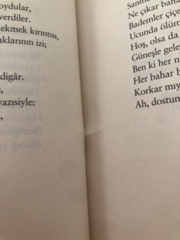 Bütün Şiirleri Orhan Veli - Orhan Veli Kanık