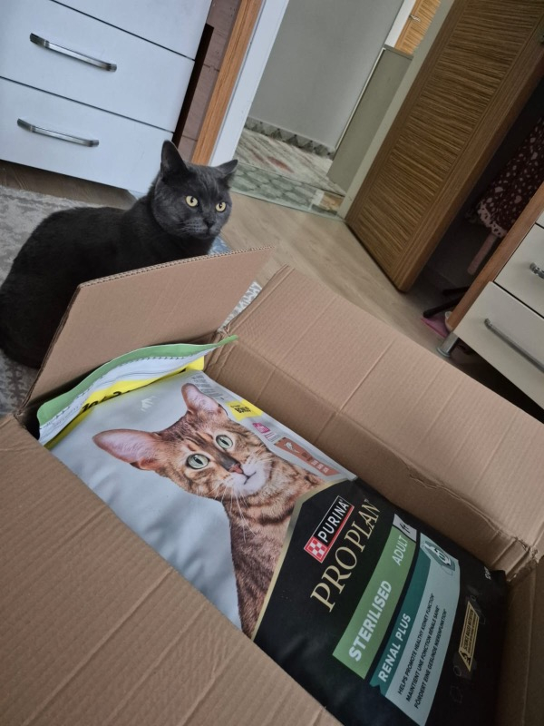 Pro Plan Somonlu Kısırlaştırılmış Kuru Kedi Maması 10+2 Kg