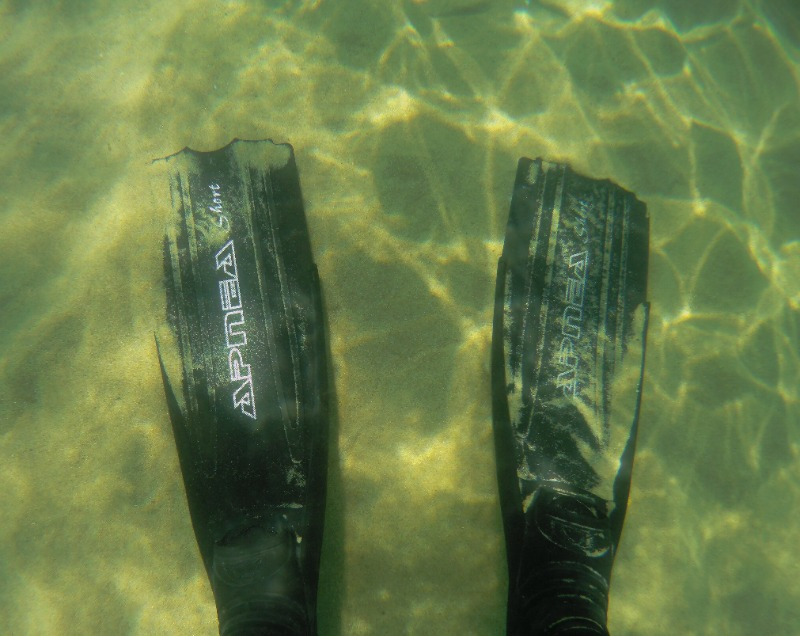 Apnea Storm Serbest Dalış Paleti
