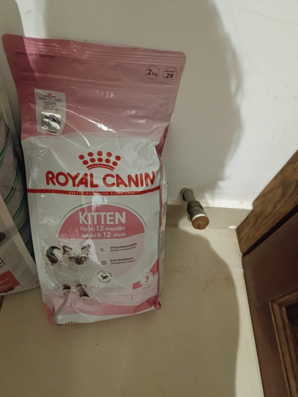 Die Grup Royal Canin Kitten Kedi Maması, 2 kg