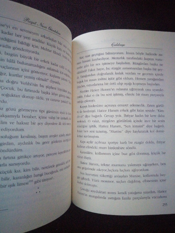 Çalıkuşu - Reşat Nuri Güntekin