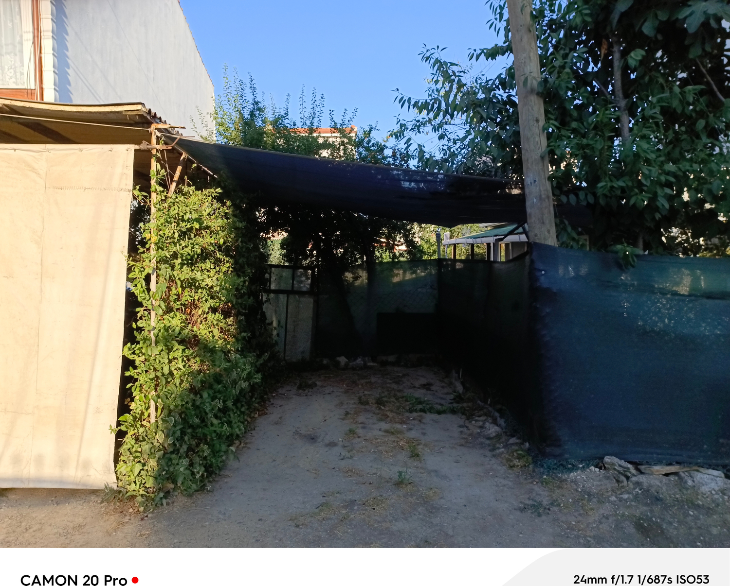 visual-comment-img