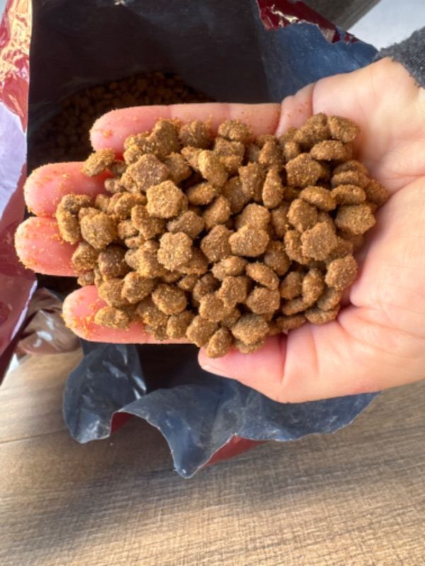 King Plus Cat Kuzulu Yetişkin Kedi Maması 15 Kg