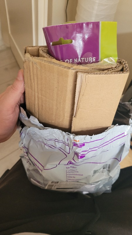 Jungle Doğal Dal Darı 5 Li Paket