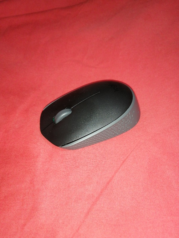 Logitech M171 USB Alıcılı Kablosuz Kompakt Mouse - Siyah