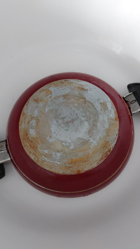 Selsil Pak Genel Amaçlı Temizleyici 500 gr