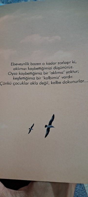 Bağırmayan Anneler - Hatice Kübra Tongar