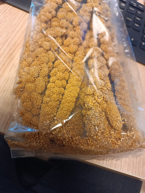 Eurogold Doğal Dal Darı 250 Gr