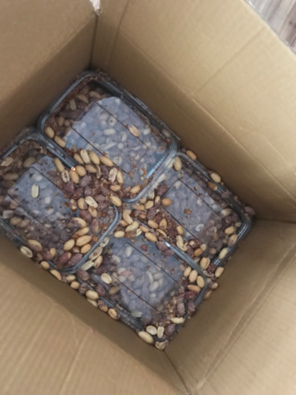 Tuğba Kuruyemiş Tuzlu Fıstık 1 kg