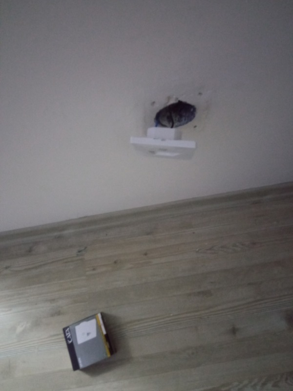Cata CT-5170-M Sensörlü Koridor Aydınlatması Fotoselli Mavi Işık