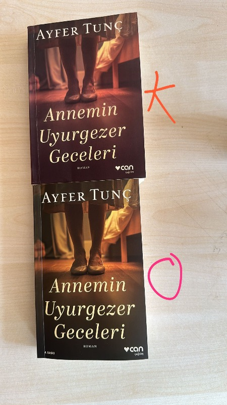 Can Yayınları Annemin Uyurgezer Geceleri - Ayfer Tunç